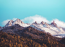 半岛体育官方网站：用专业与热情点亮你的体育每天